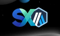 SX Network's Berachain Pivot: A Data-Driven Look at the New P2P Betting Model