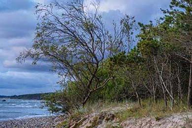 Dairy Queen Chapter 11: Who Really Won the Mega Millions & Powerball Jackpot?