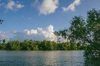 Dairy Queen Chapter 11: Who Really Won the Mega Millions & Powerball Jackpot?