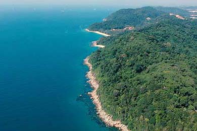 Hyundai: Elantra, Sonata, Palisade, and the Competitive Landscape