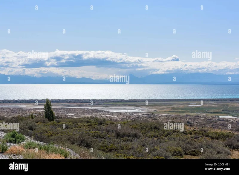 Argentina's $20 Billion Bailout: A Data-Driven Breakdown of the Deal