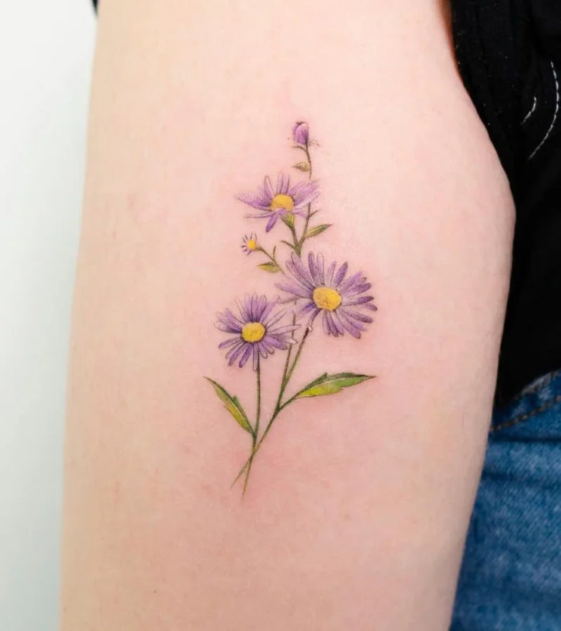 Aster Crypto: What the Hell It Actually Is and the Absurd Confusion It's Causing