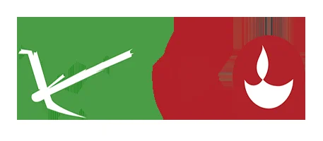 Gold & Silver's Record-Breaking Surge: The Forces Behind the Surge and What It Means for the Future