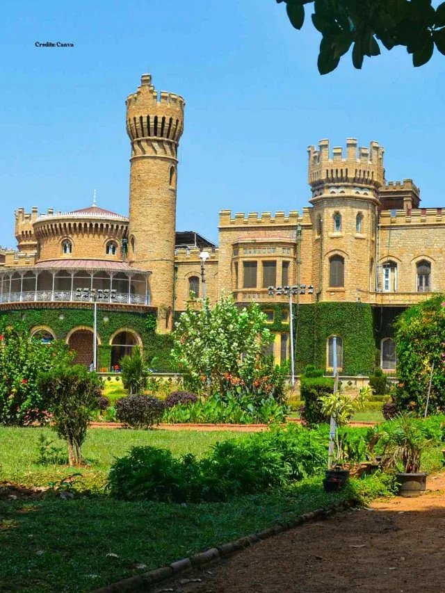 Bangalore: Waste Crisis and Dog Attacks