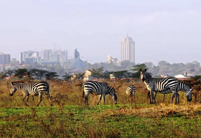 Nairobi's Pulse: Unveiling the City's Time and Trends