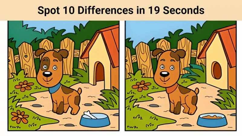 SPOT Stock Surge: What Sparked the Rise?