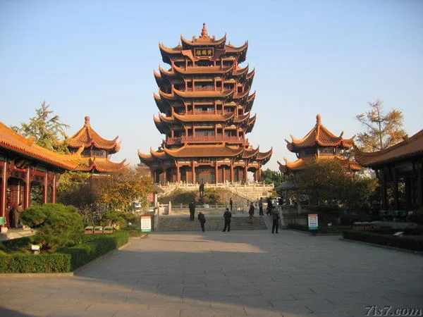 Wuhan's Resilience: What It Tells Us About the Future – What Reddit is Saying