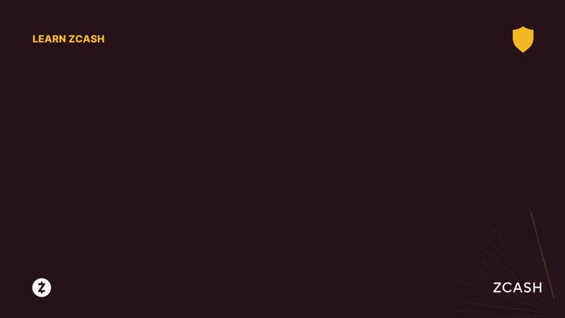 Zcash's 700% Surge: Galaxy Digital's Take and the Lingering Questions